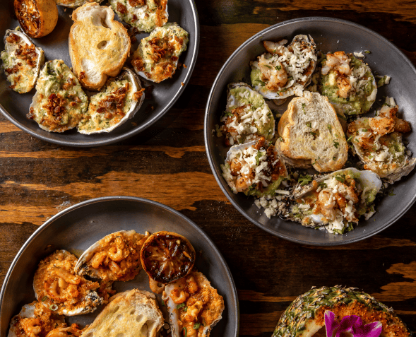 Oysters Oysters